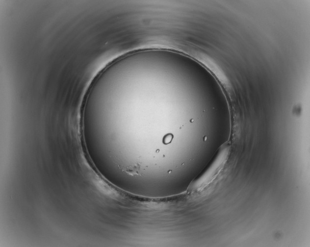 X0000102390996200808011556