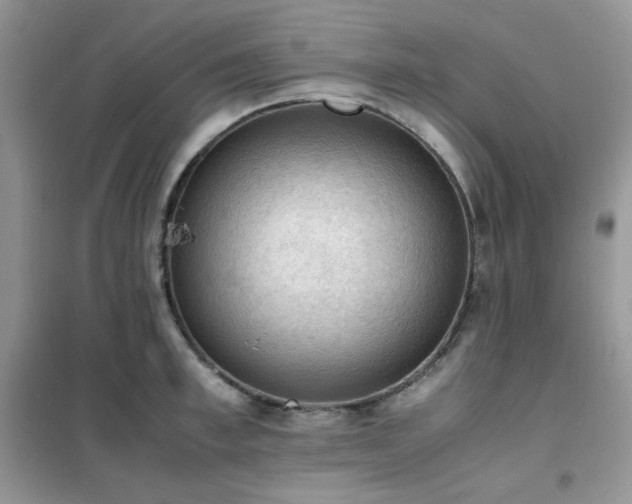 X0000102390997200808011556