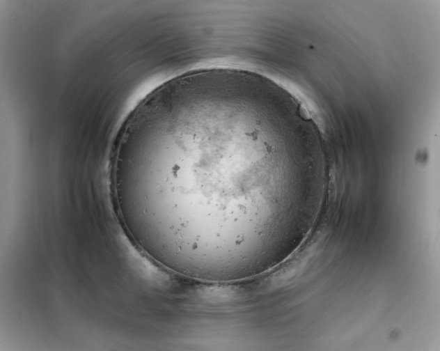 X0000102390998200808011556