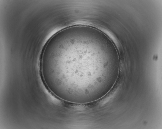 X0000102390999200808011556