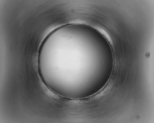 X0000102391000200808011556