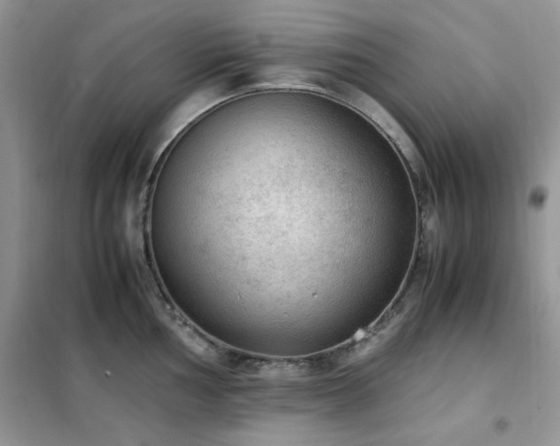 X0000102391002200808011555