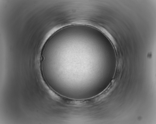 X0000102391005200808011555