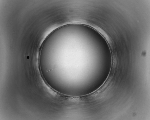 X0000102391006200808011555