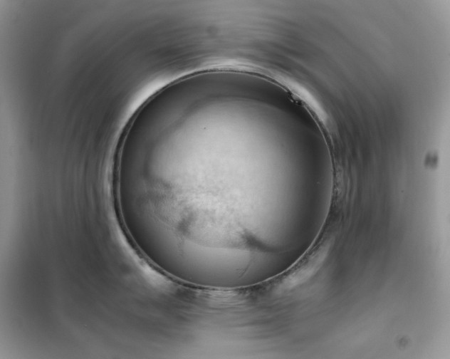 X0000102391007200808011555