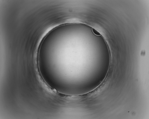 X0000102391008200808011555