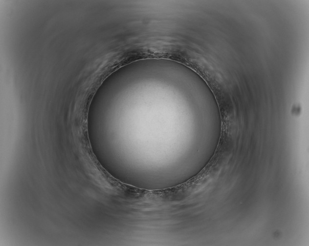 X0000102391009200808011555