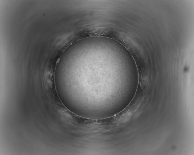 X0000102391010200808011555