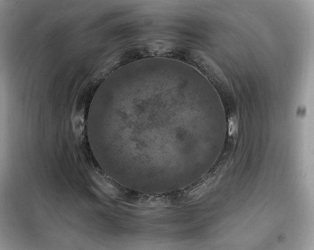 X0000102391011200808011555