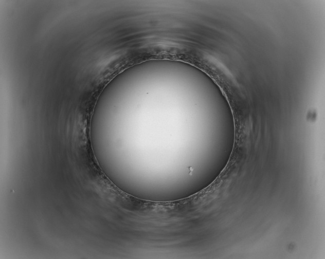 X0000102391013200808011555