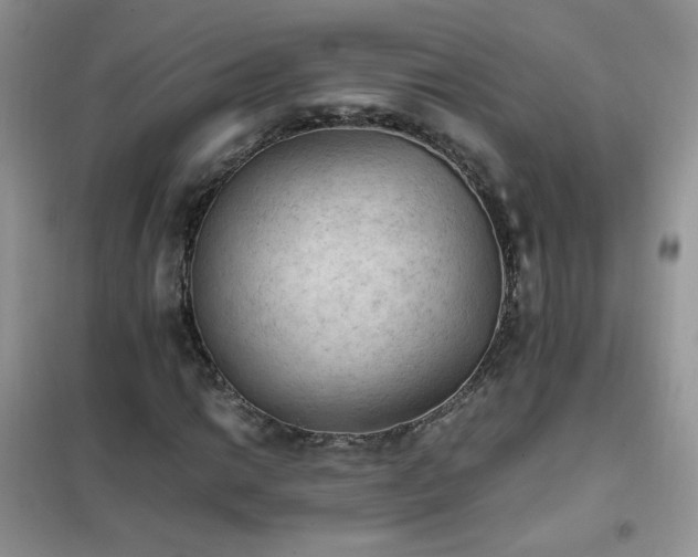 X0000102391014200808011555