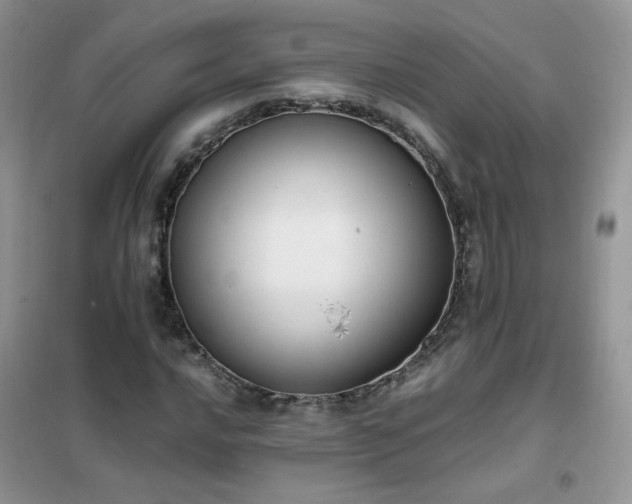 X0000102391016200808011555