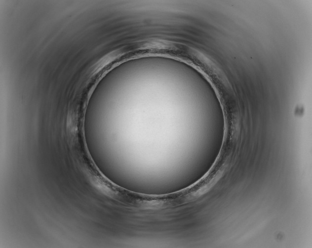 X0000102391017200808011555