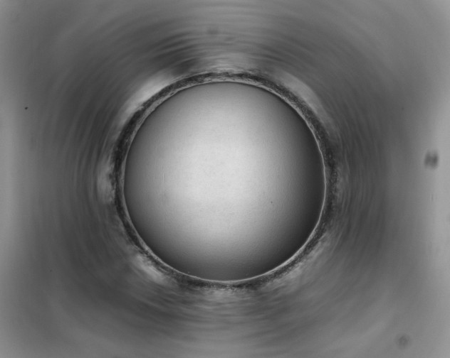 X0000102391018200808011555