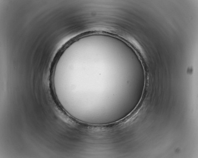 X0000102391020200808011555