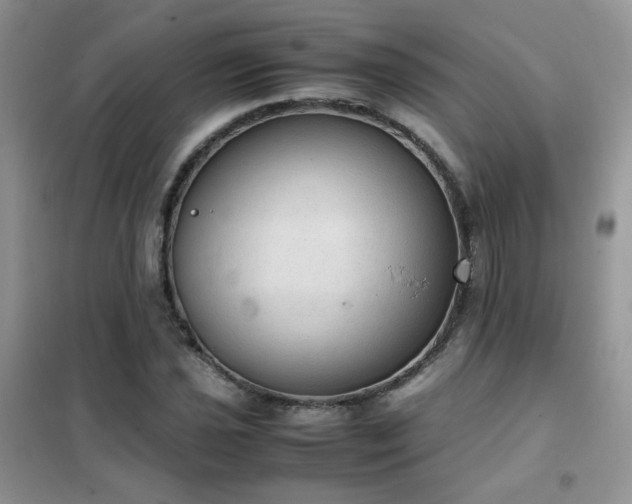 X0000102391021200808011555