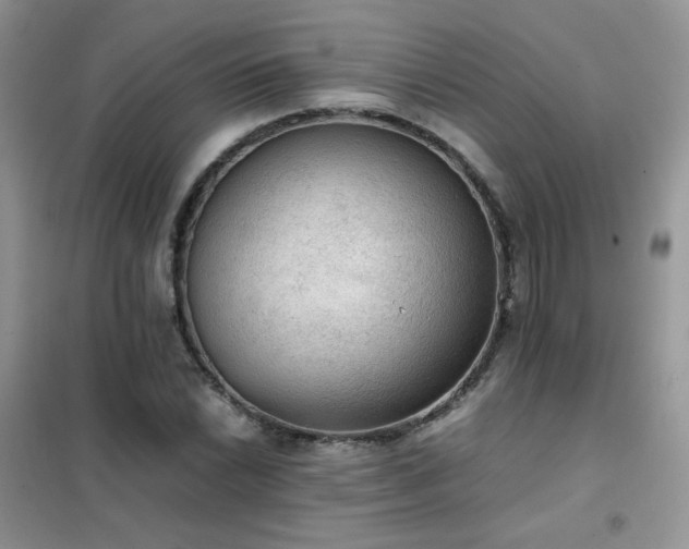 X0000102391022200808011555