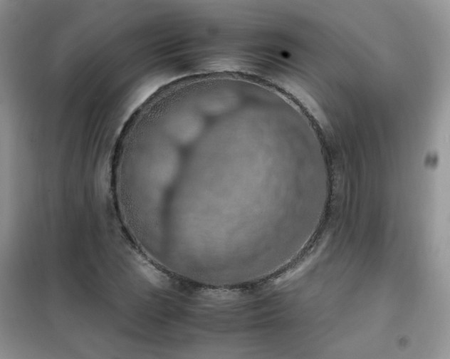 X0000102391023200808011555