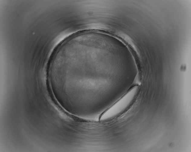 X0000102391024200808011555