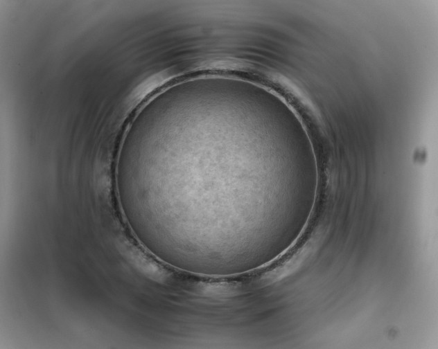 X0000102391025200808011555