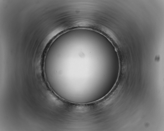 X0000102391026200808011555