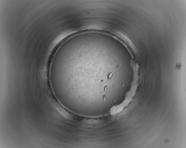 X0000102391027200808011555