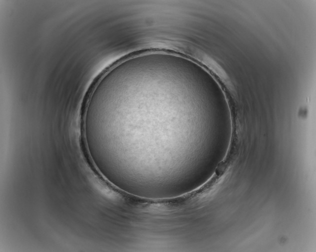 X0000102391028200808011555