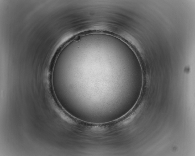 X0000102391029200808011555