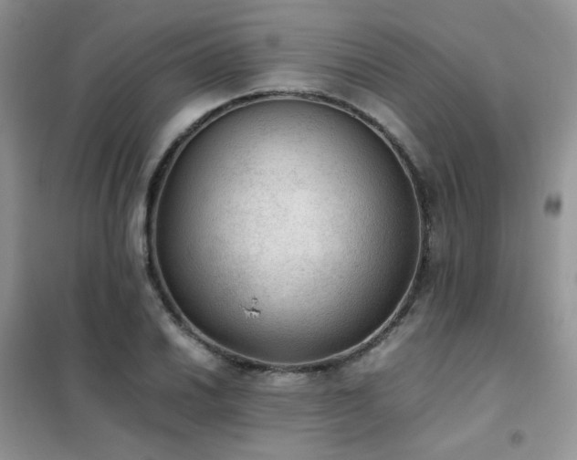 X0000102391030200808011555