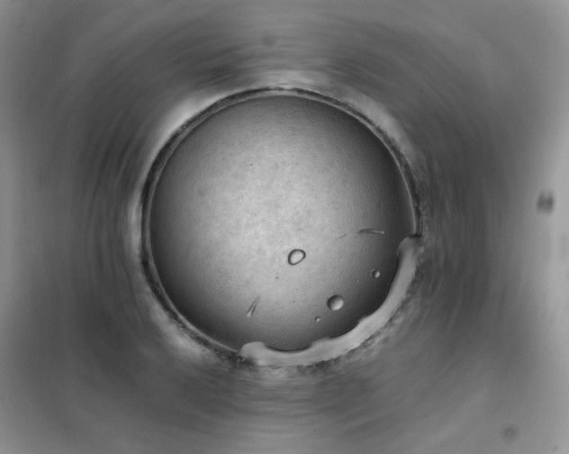 X0000102391032200808011555