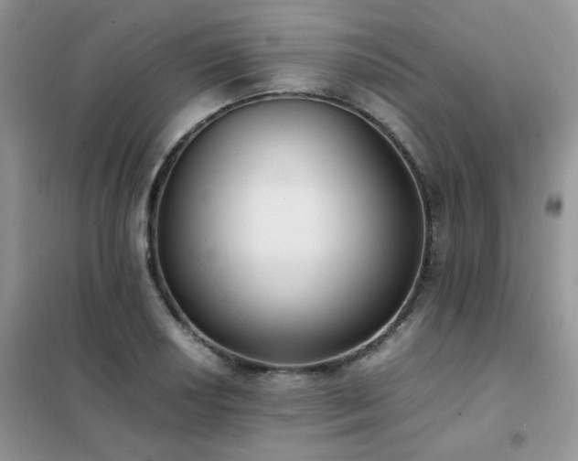 X0000102391034200808011555