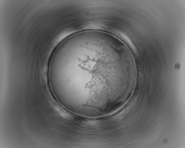 X0000102391035200808011555