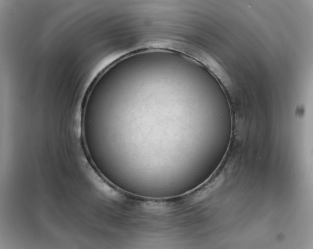 X0000102391036200808011555