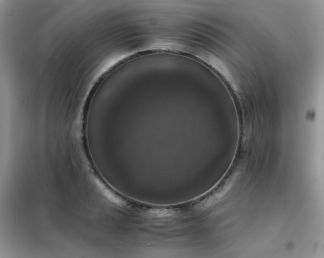 X0000102391037200808011555