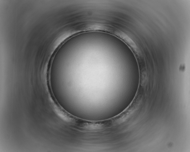 X0000102391039200808011555