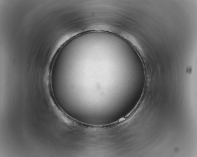 X0000102391040200808011555