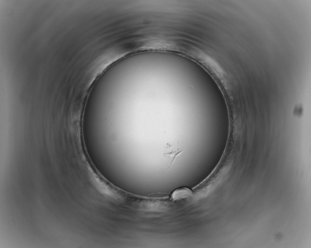 X0000102391041200808011555