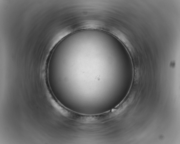 X0000102391042200808011555