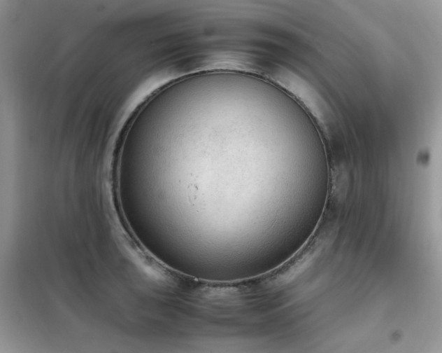 X0000102391043200808011555