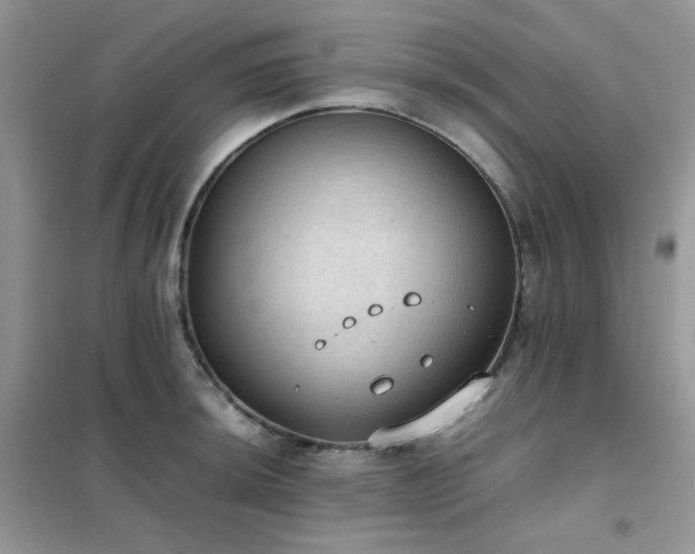 X0000102391044200808011555