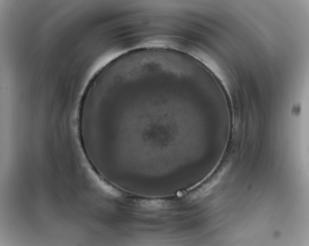 X0000102391045200808011555