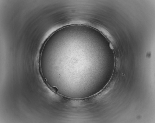 X0000102391046200808011555