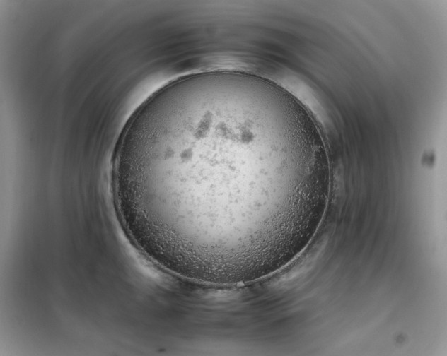 X0000102391047200808011555