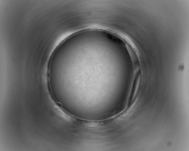 X0000102391048200808011555