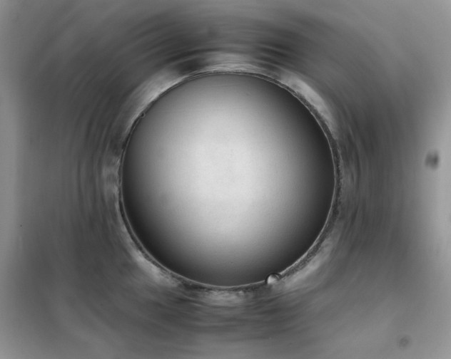 X0000102391049200808011555