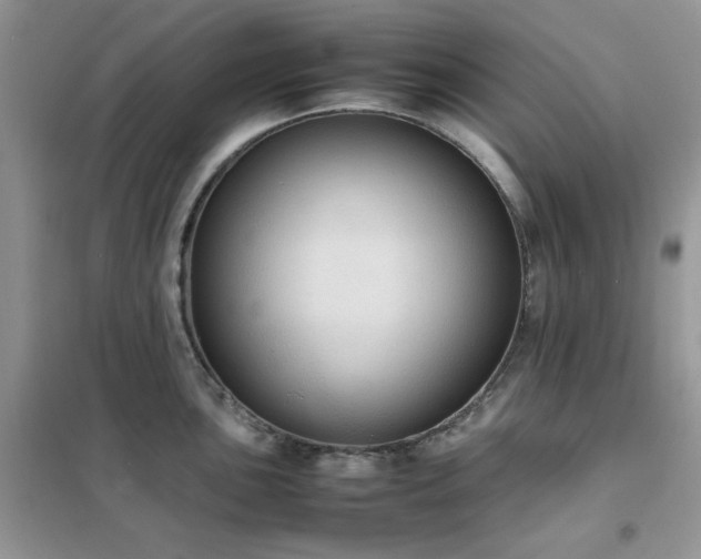 X0000102391051200808011555