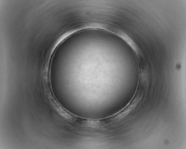 X0000102391052200808011555