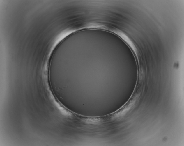 X0000102391053200808011555