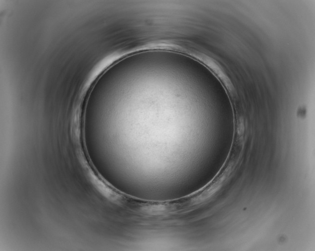 X0000102391054200808011555