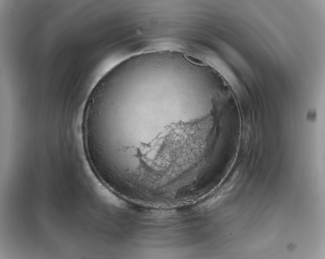 X0000102391055200808011555